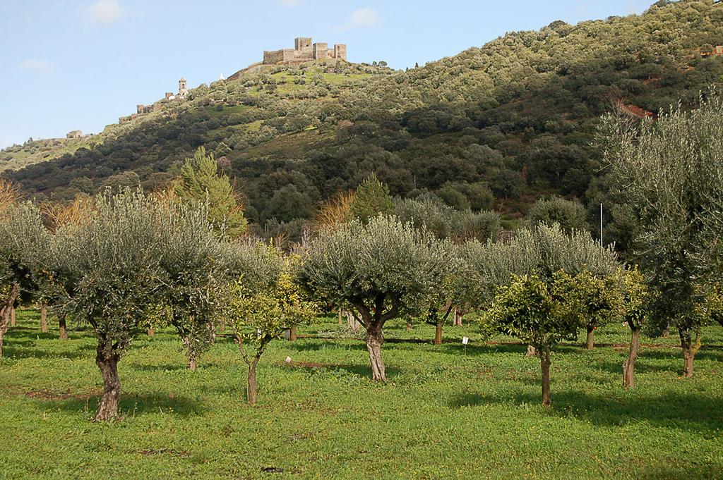 מלון מונסראז Monte Do Laranjal מראה חיצוני תמונה